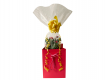 Mother's Day Flowers & Treats Gift Basket flowers