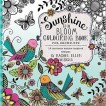 Sunshine & Bloom Adult Colouring Book by Rachel Ellen