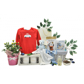Blooming Parents and Baby Boy Basket