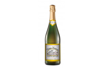 French Sparkling Apple Cider Chateau Normandie (non alc) 75cl