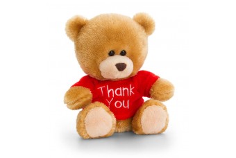 Thank You Teddy Bear
