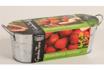 Strawberry Windowsill Growing Kit Tin