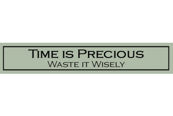 Time is Precious, Waste it Wisel