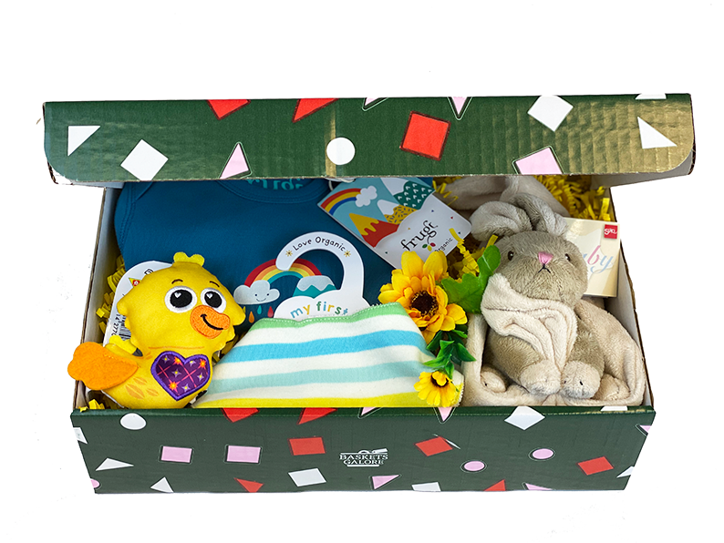 Baby Born Unisex Gift Box Delivery
