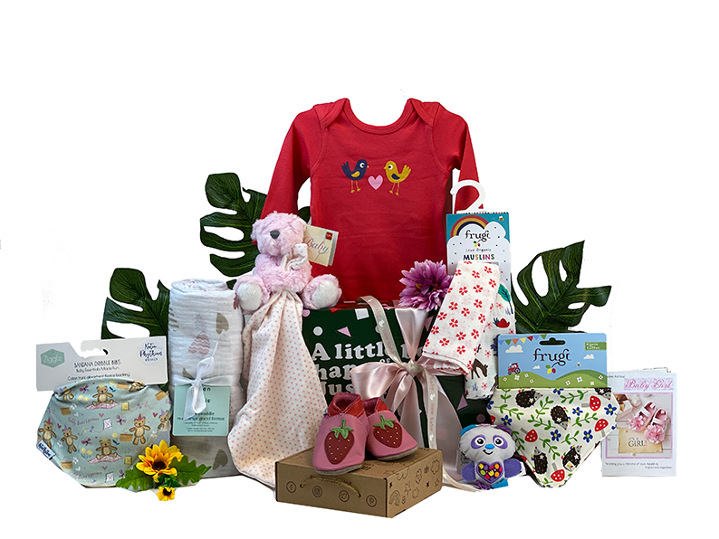 Modern Baby Girl Gift Box