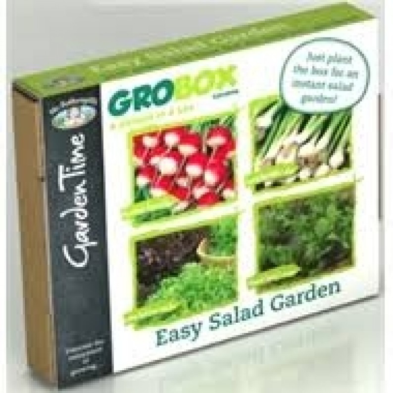 Easy Salad grobox