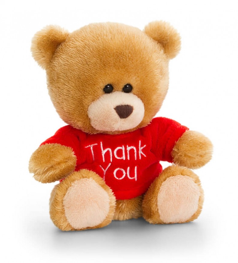Thank You For Sliding Into My DM's! Valentines Day Teddy Bear Chocolat –  Salty Bears
