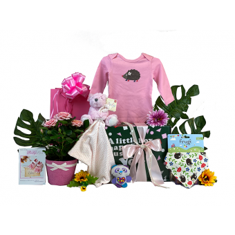 Baby Girl Gift Box With Flowers