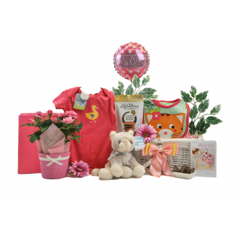 Blooming Baby Girl Gift Basket
